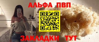 сатива Гудермес