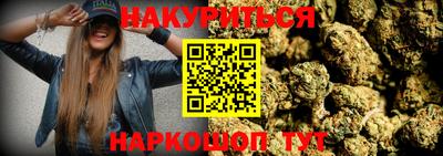 сатива Гудермес