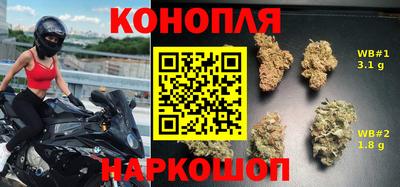 сатива Гудермес