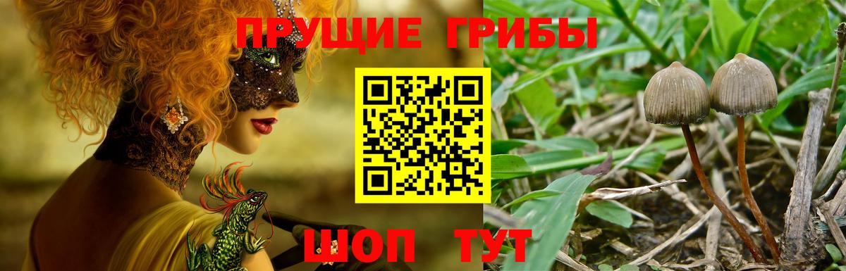 Волжский  магазин продажи наркотиков  Псилоцибиновые грибы Psilocybine cubensis  Вход с VPN  Галлюциногенные грибы Psilocybe 