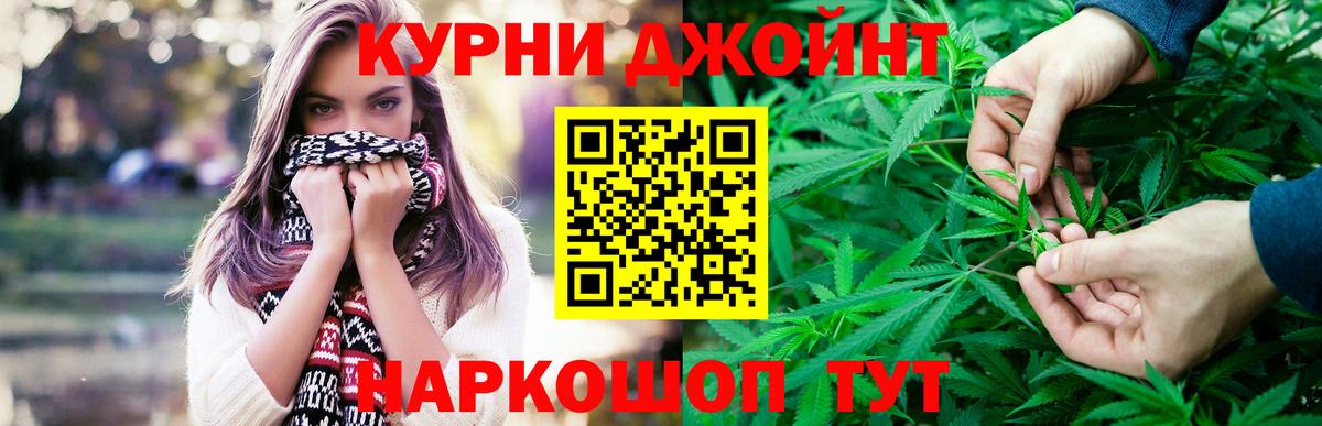 Конопля гибрид Волжский